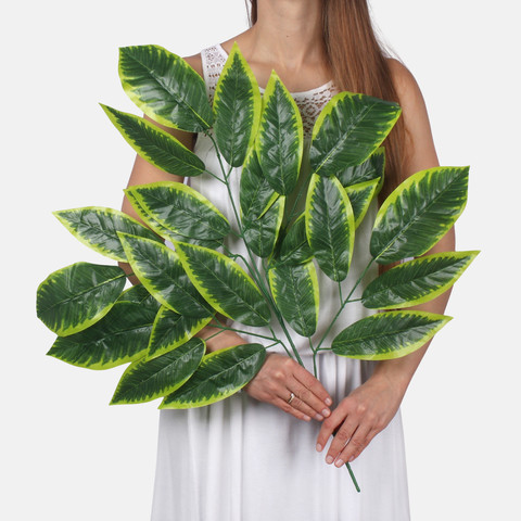 Mango F192 (Product size)