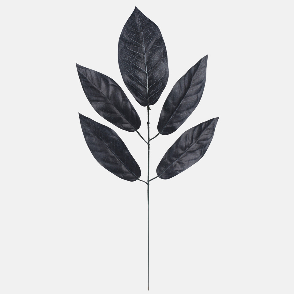 Mango, Black F161Z-01