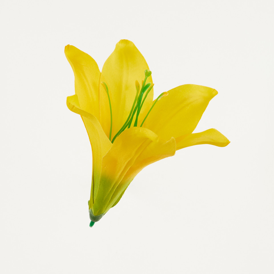 Lilia – główka satyna, yellow B276-006