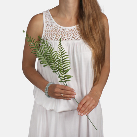 Fern Queen Kimberly A734 (Product size)