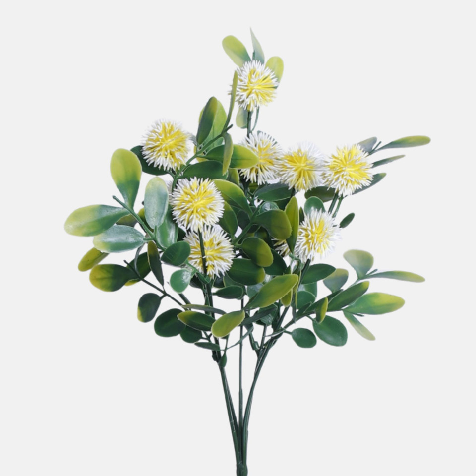 Osty, Yellow BR893-03