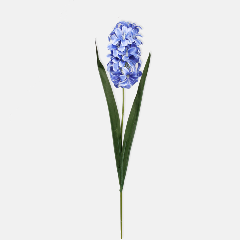 Hiacynt, Blue G452-07