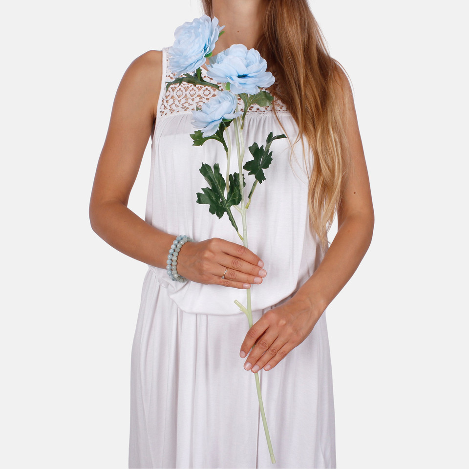 Kamelia x 3 L823K