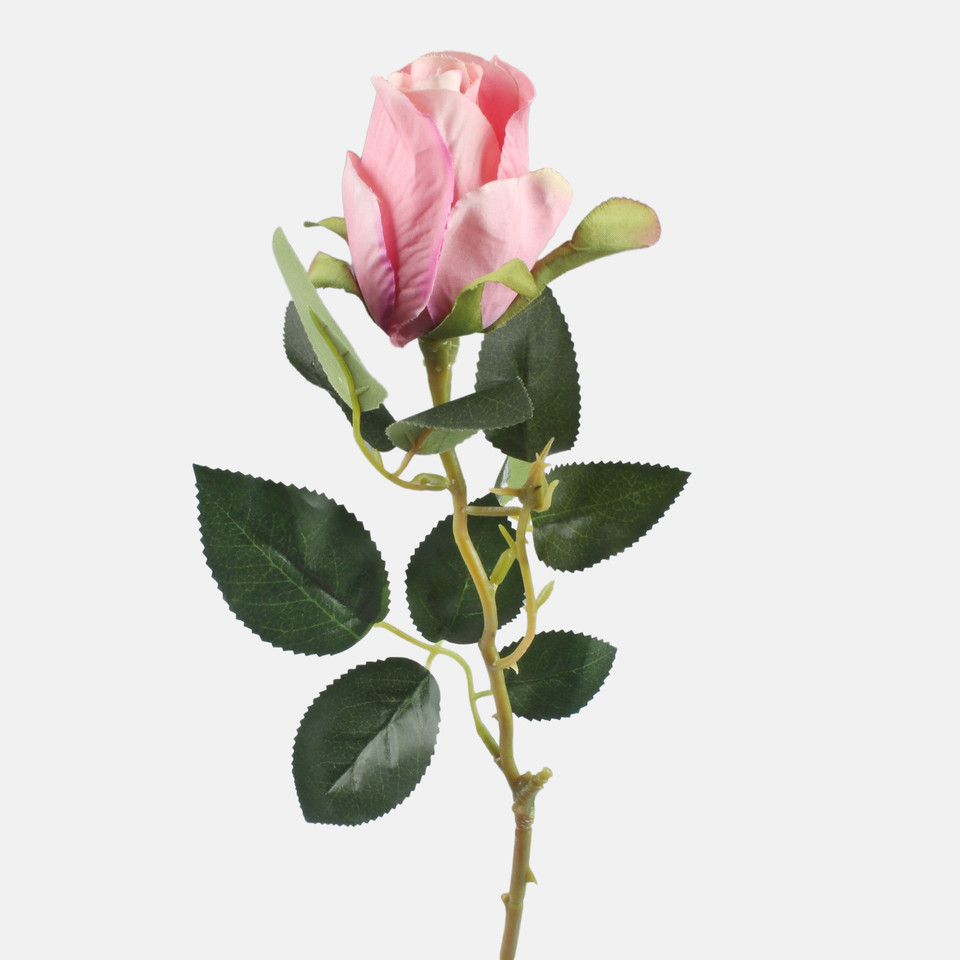 Róża w pąku, Pink L892-04