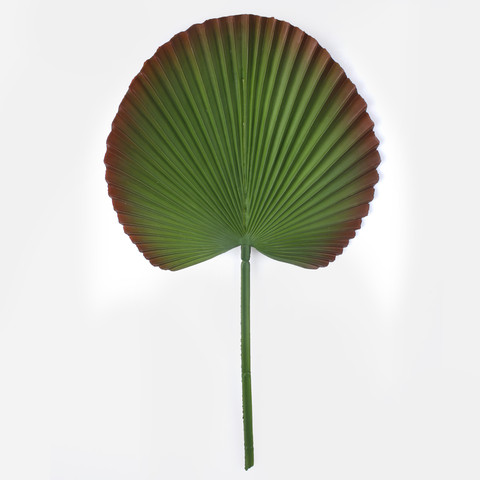 Rubberized palm leaf A018
