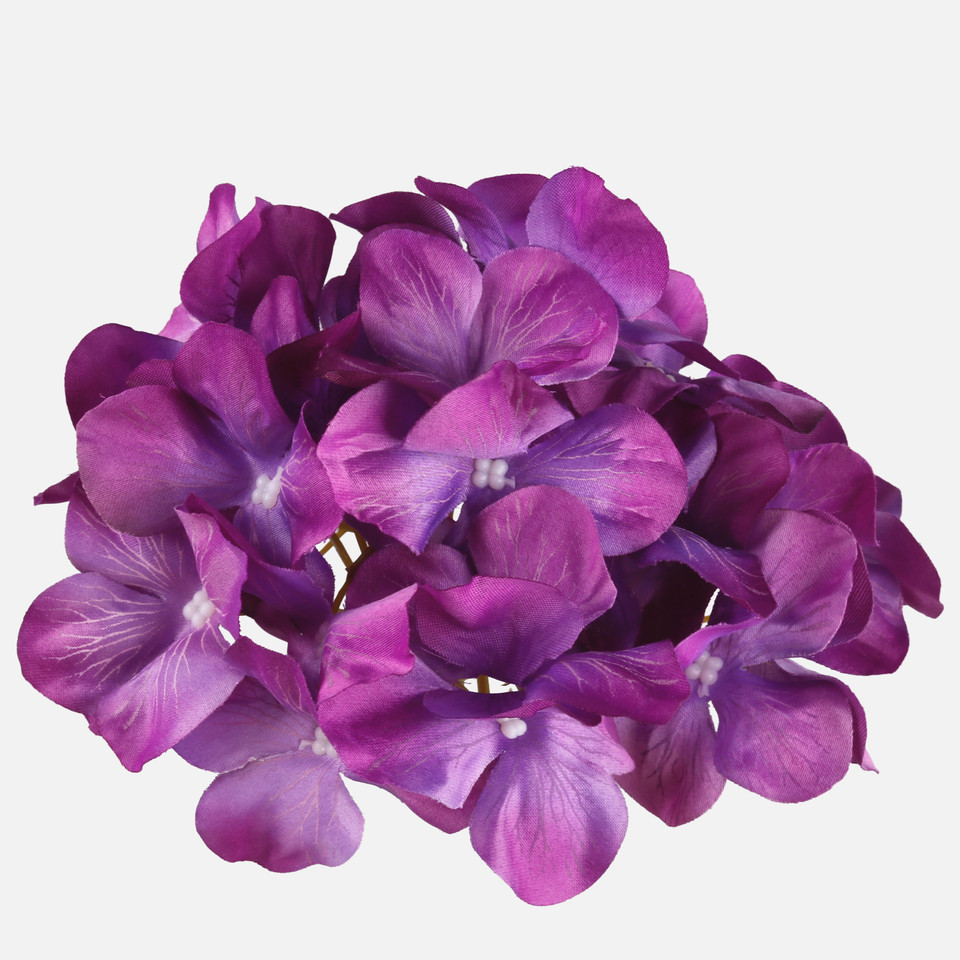 Hortensja, Violet W707-09