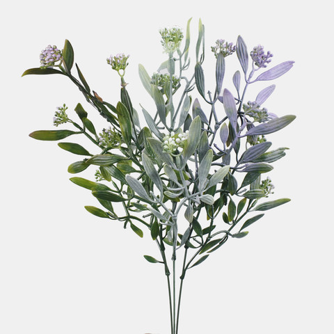 Mistletoe A784