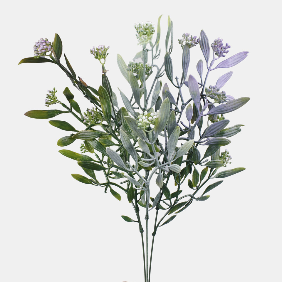 Mistletoe, Mix 1 A784-04