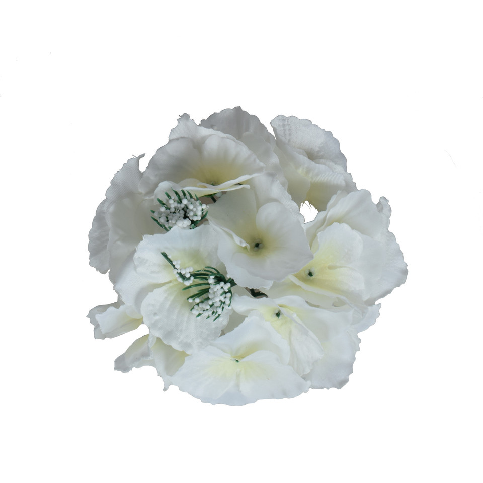 Hortensja, Cream W152-02