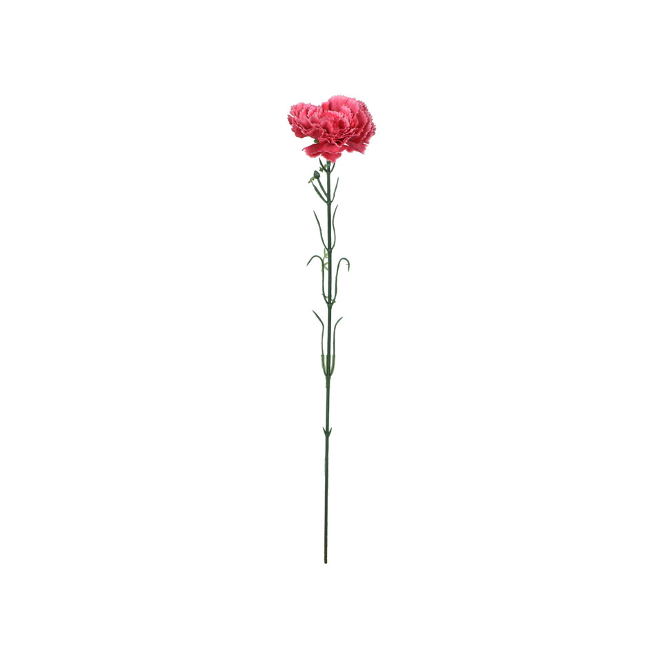 Goździk - gałązka 53 cm, m K402-m