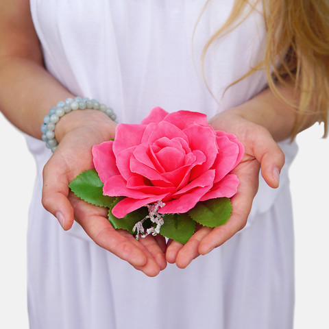 Rose with leaves W486