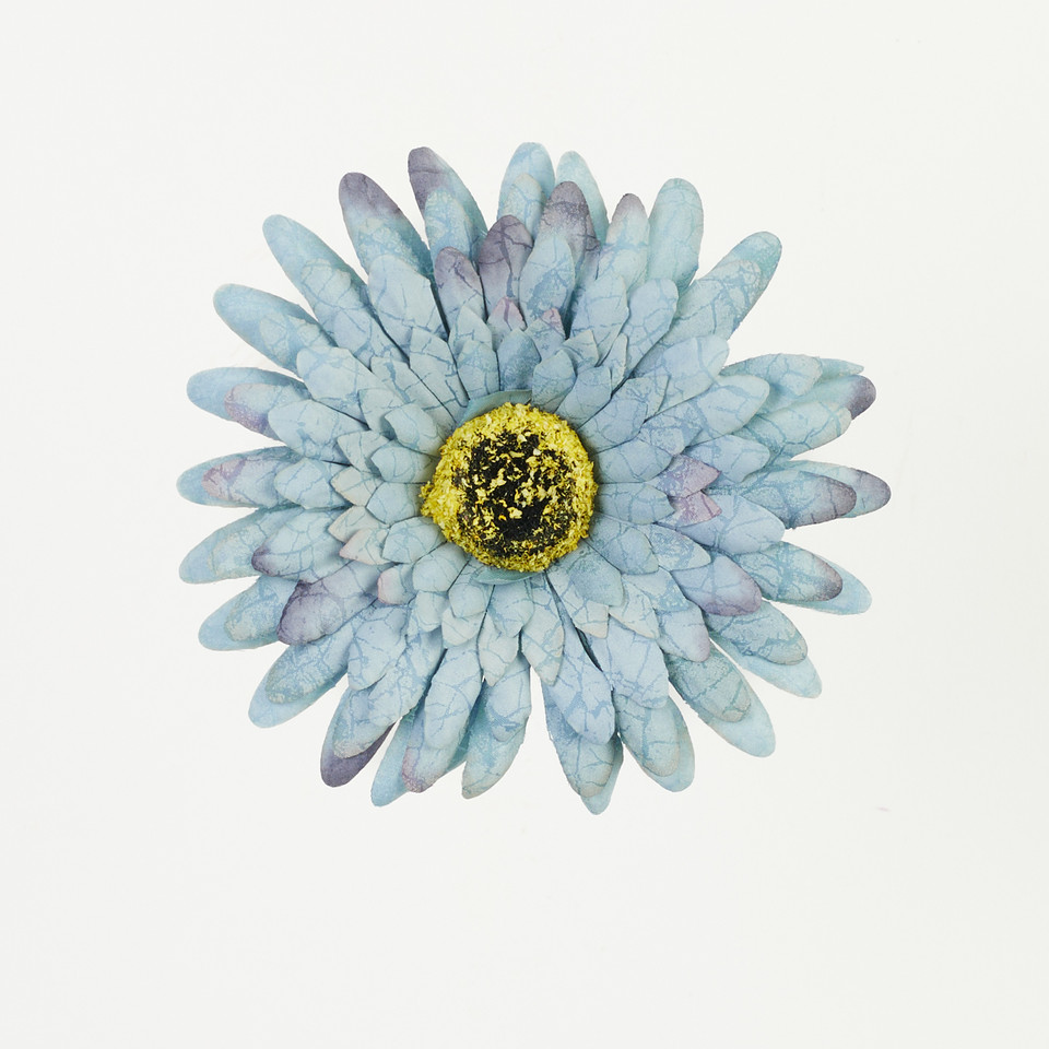 Gerbera – główka drukowana, blue B75-12