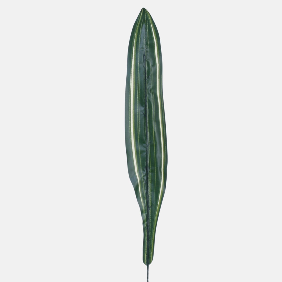 Liść draceny gumowany, Variegated H011B-03