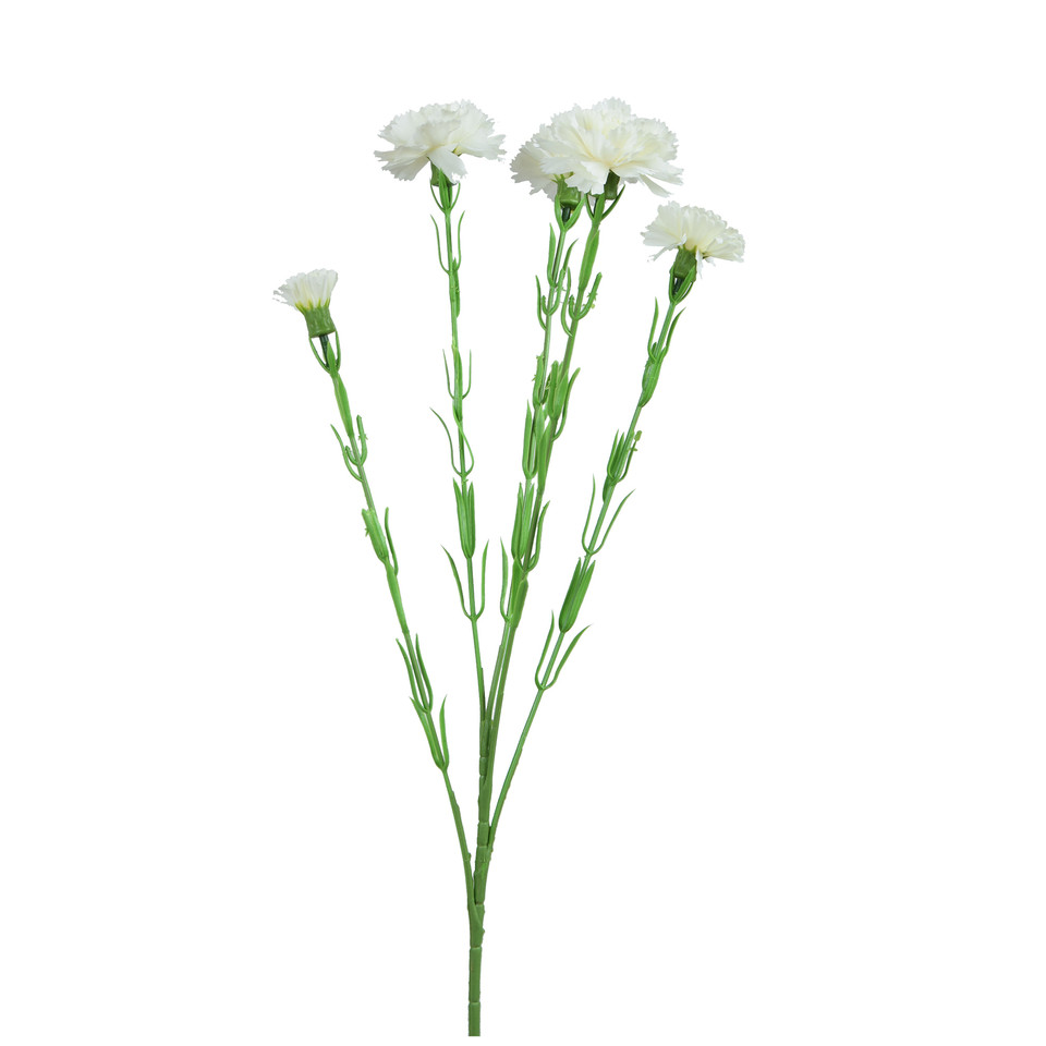 Goździk - gałązka 60 cm, m3 GK139-m3