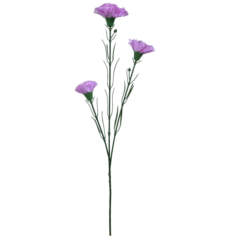 Goździk - gałązka 60 cm, m3 GK149-m3
