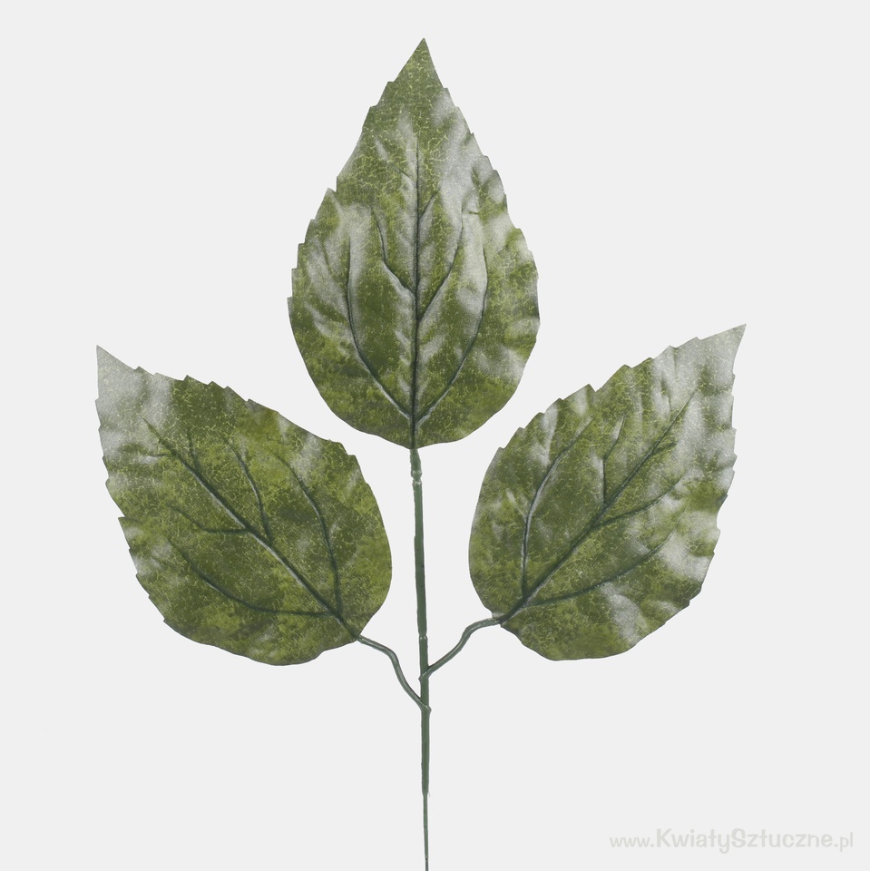 Sunflower leaf, Green A162-01
