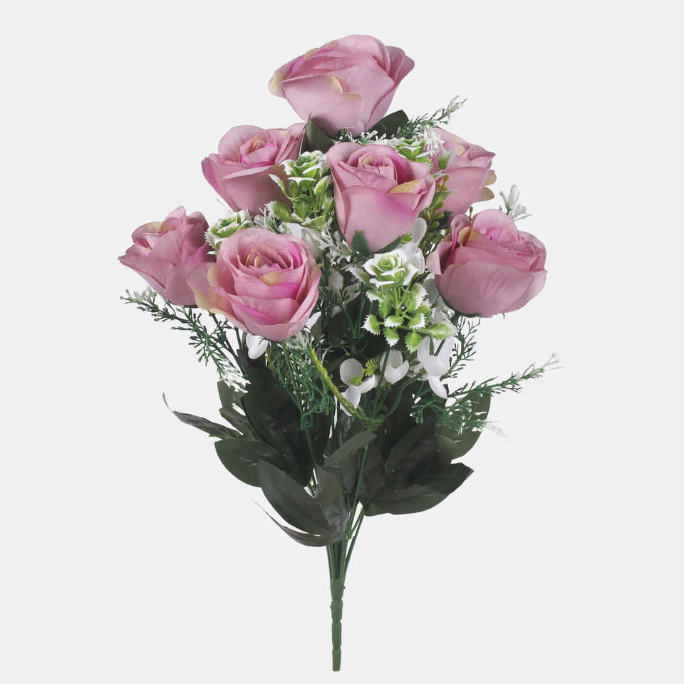 Rose x7, Mix 1 QA284-01