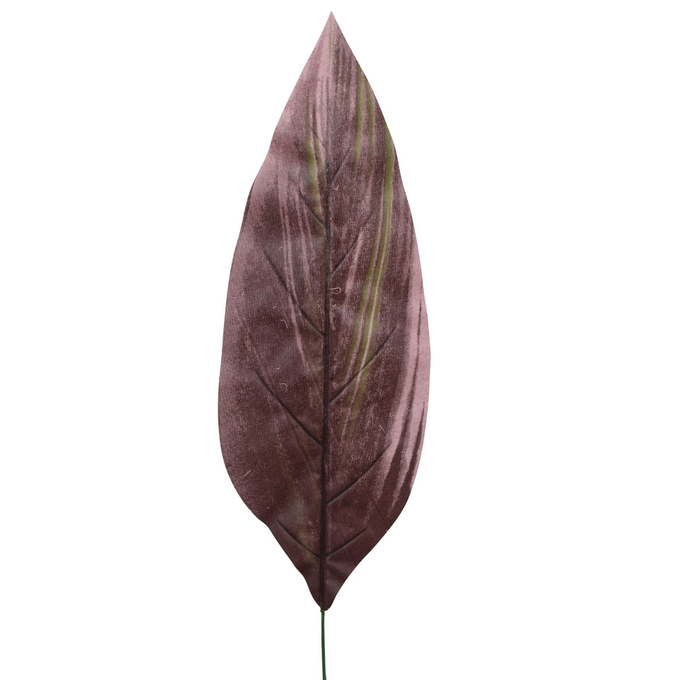 Kordylina - liść 64 cm L563-00