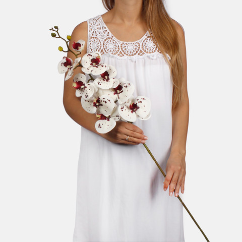 Orchid L768L (Product size)