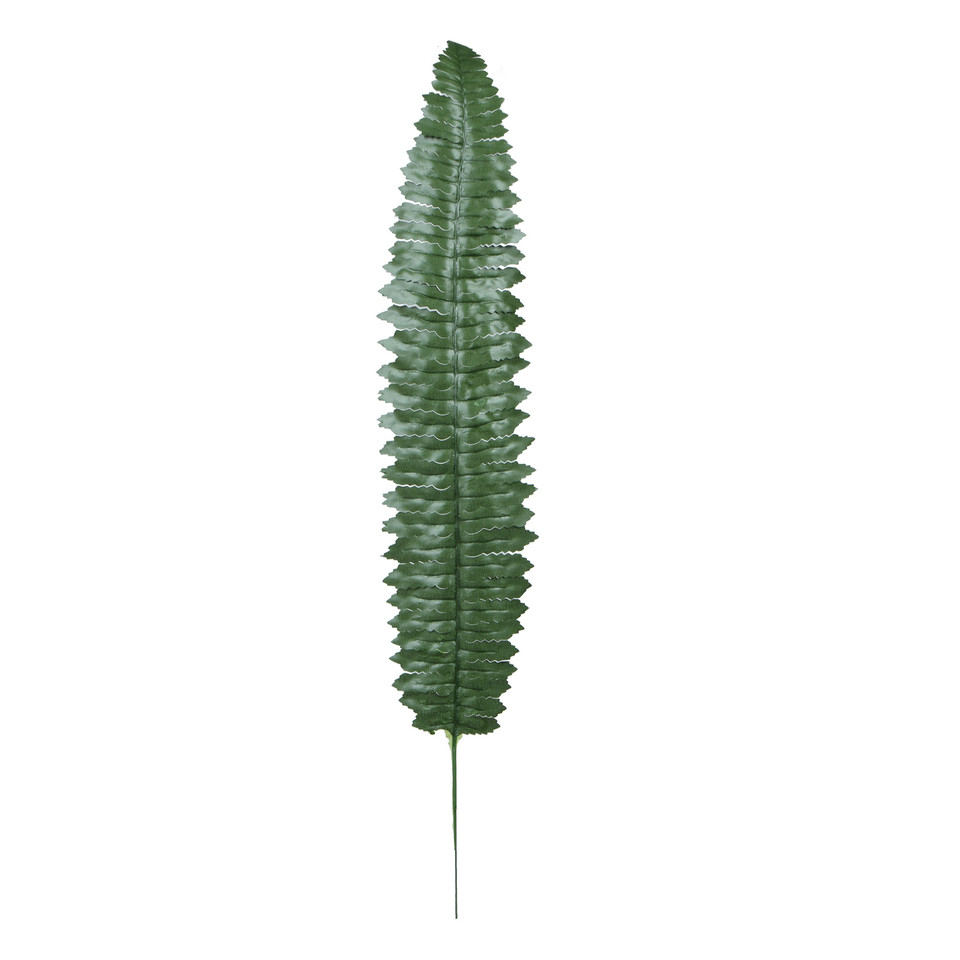 Paproć - liść 55 cm, dk. green L490-02