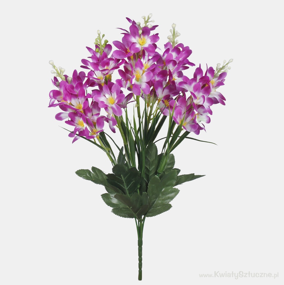 Lewkonia x 5, Lilac QA191-05