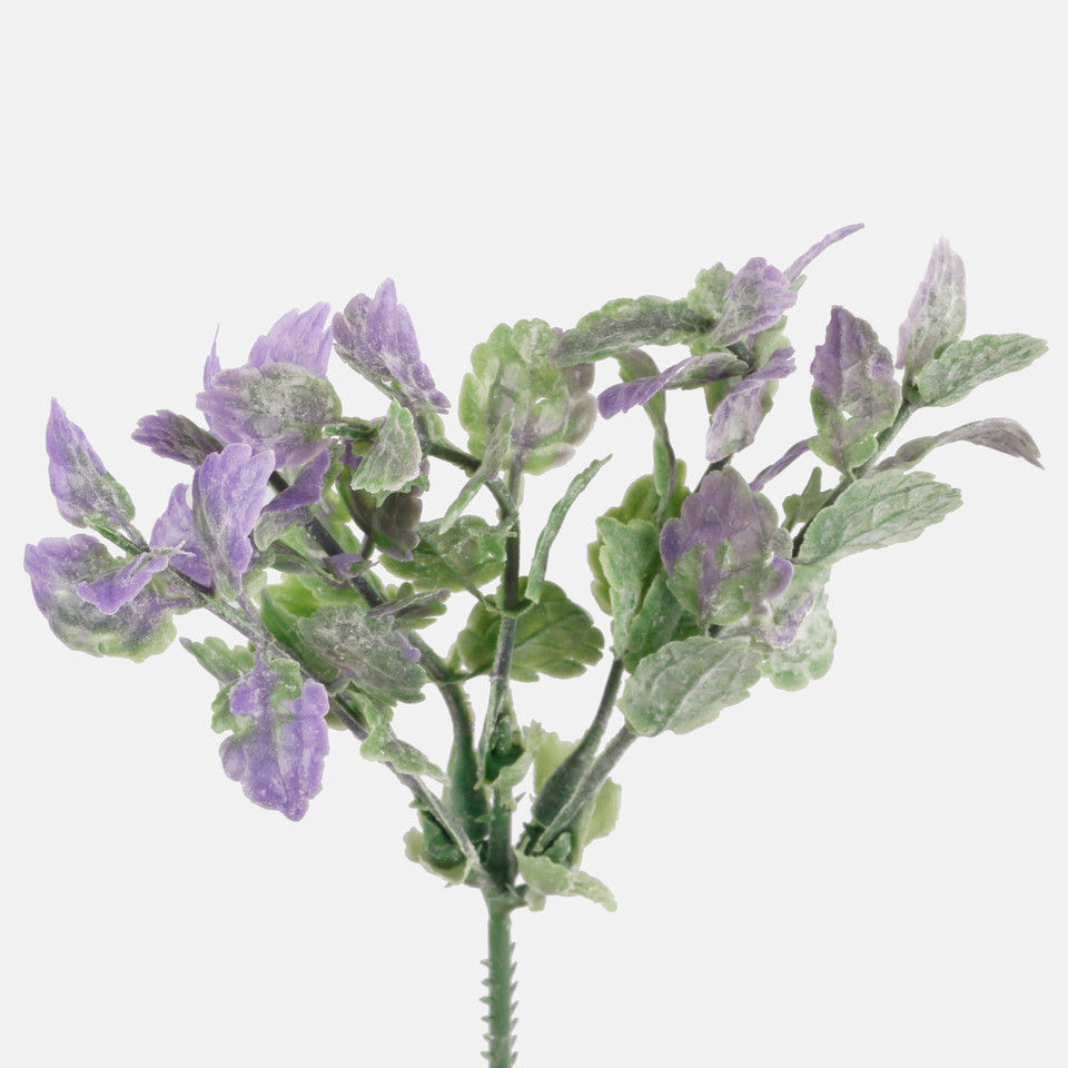 Mint, Mix 1 A317-01