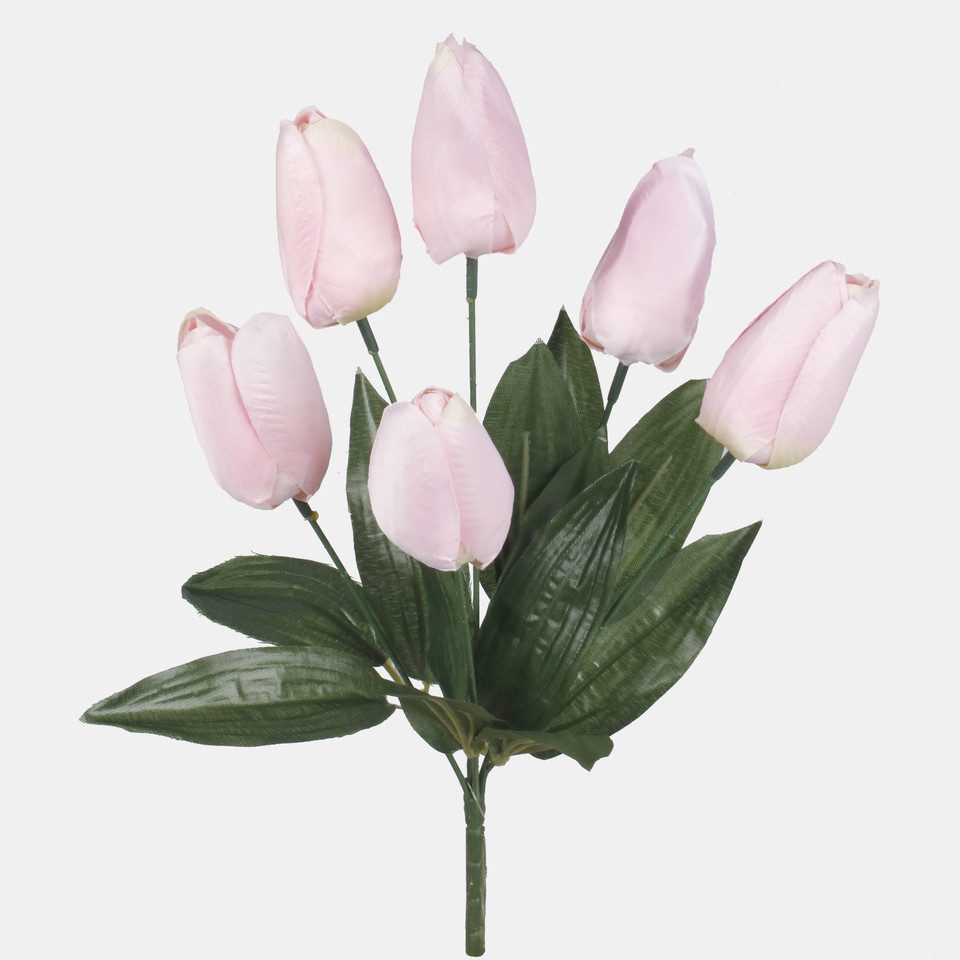 Tulipan x 6, Pink QA402-03
