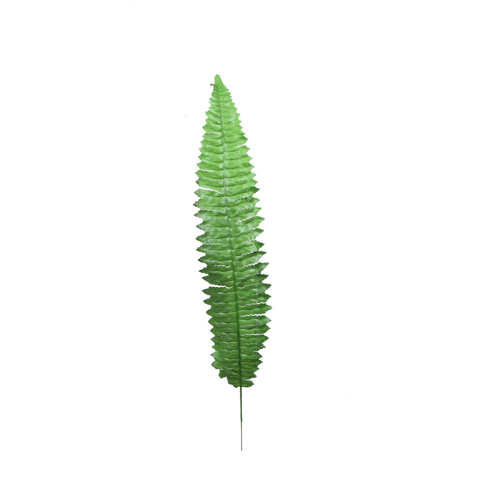 Paproć - liść  55 cm, green L214-00