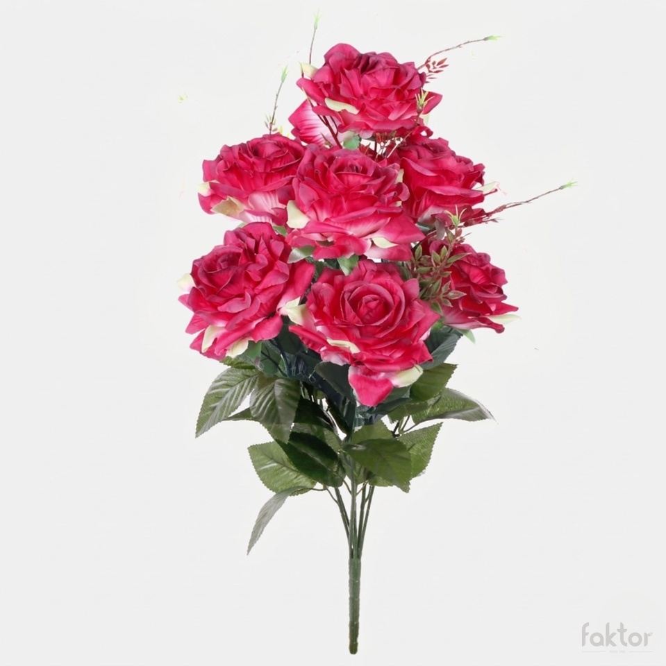 Róża x 7, Red/Green QA082-08