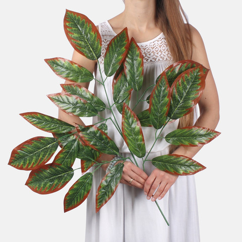 Mango F188 (Product size)