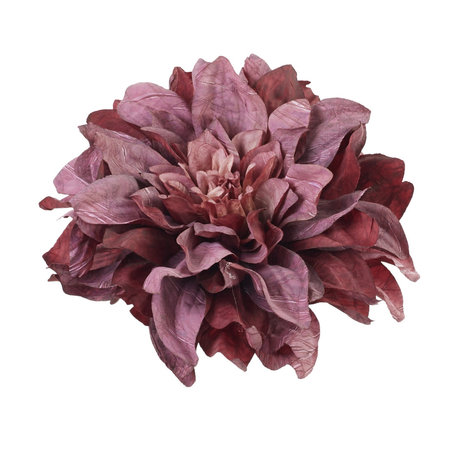 Dahlia, 15 dark violet B134-15