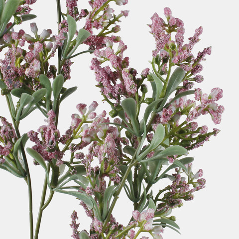 Lucerne, Pink L855-04