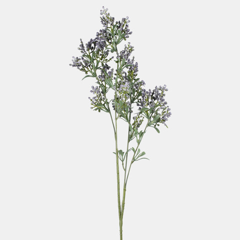 Lucerne, Lilac L855-03