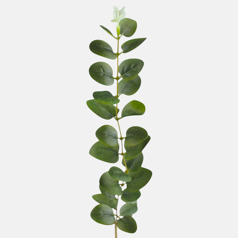 Eucalyptus twig, Green A707-50