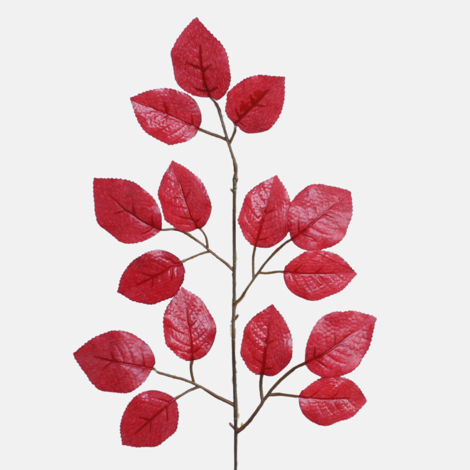 Rose 1 x 5, Green/Red Edge F016X1-02