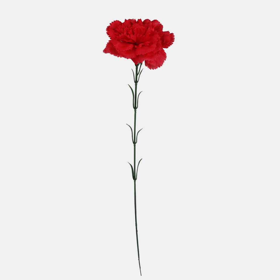 Goździk, Pure Red G392-06