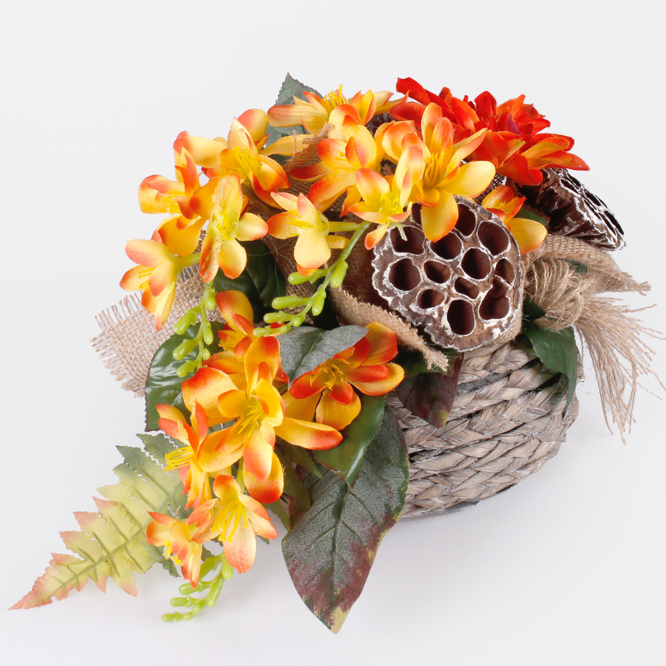 Frezja satynowa, Orange W677-09
