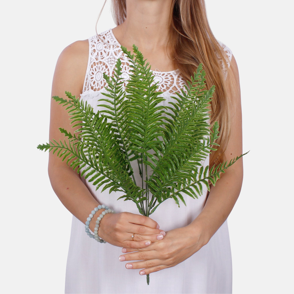 Fern bush Z204