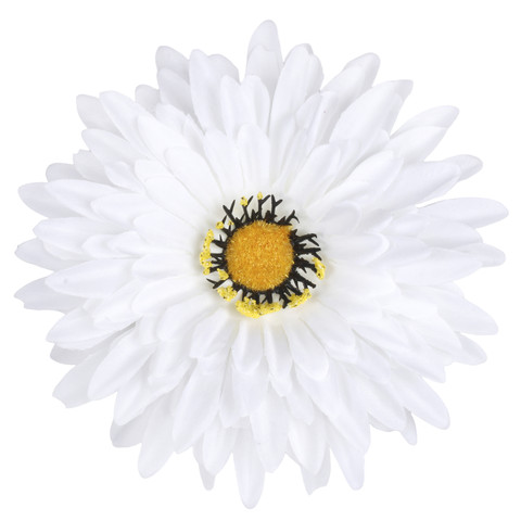 Gerbera, White/Yellow W539-01