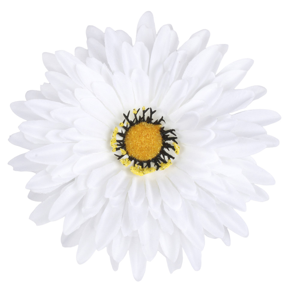 Gerbera  XXL, White/Yellow W539-01