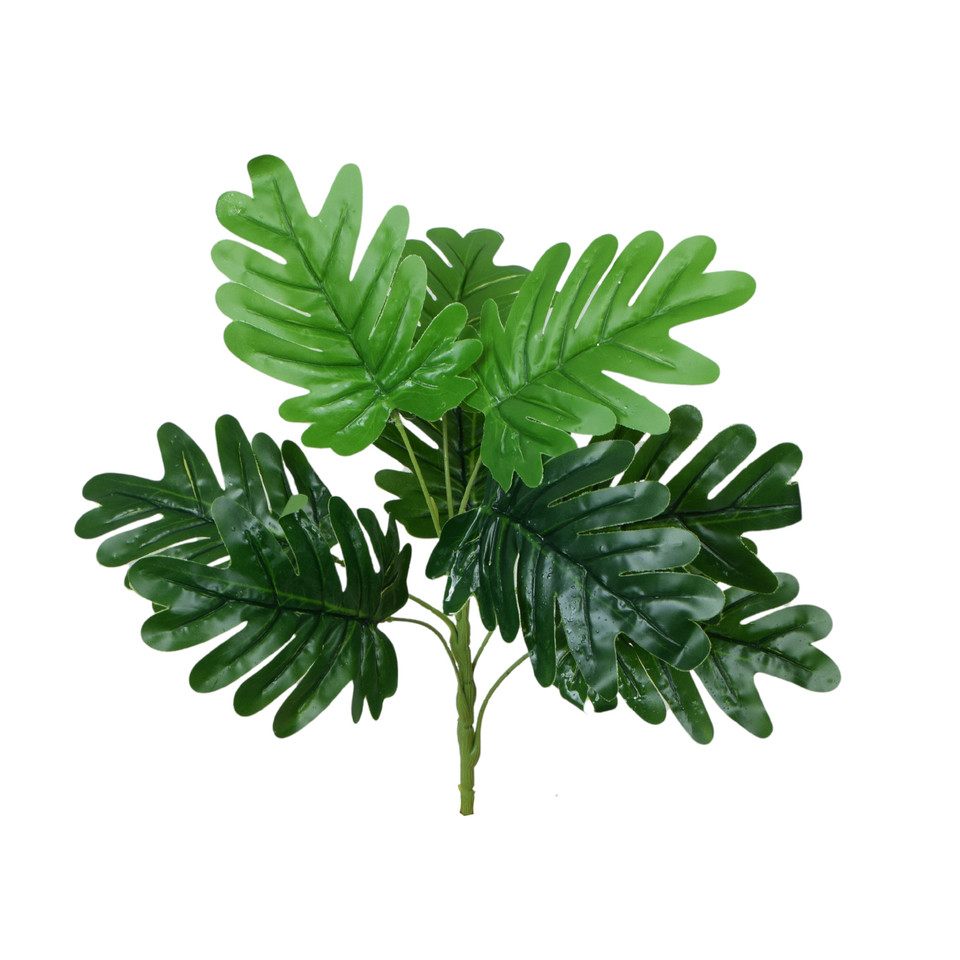 Monstera Philo - bukiet 37 cm, green R664-00