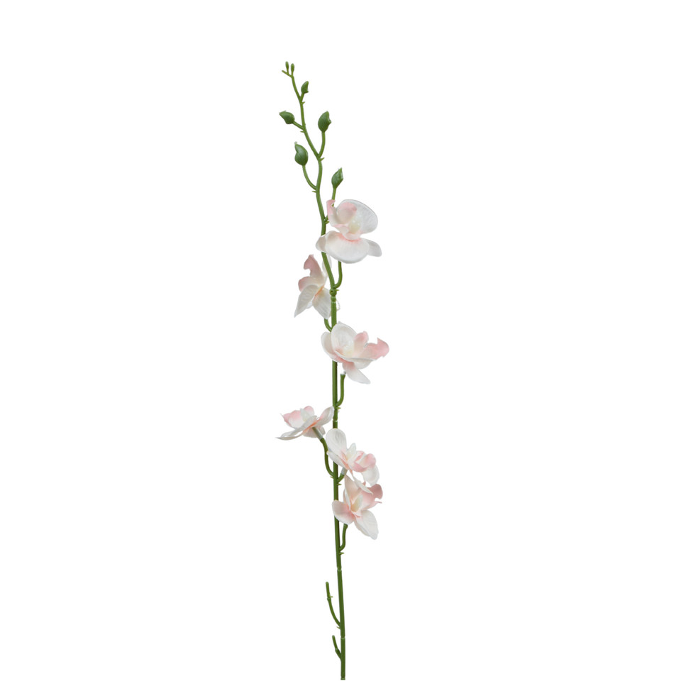 Storczyk Mini - gałązka 52 cm, m K607-m