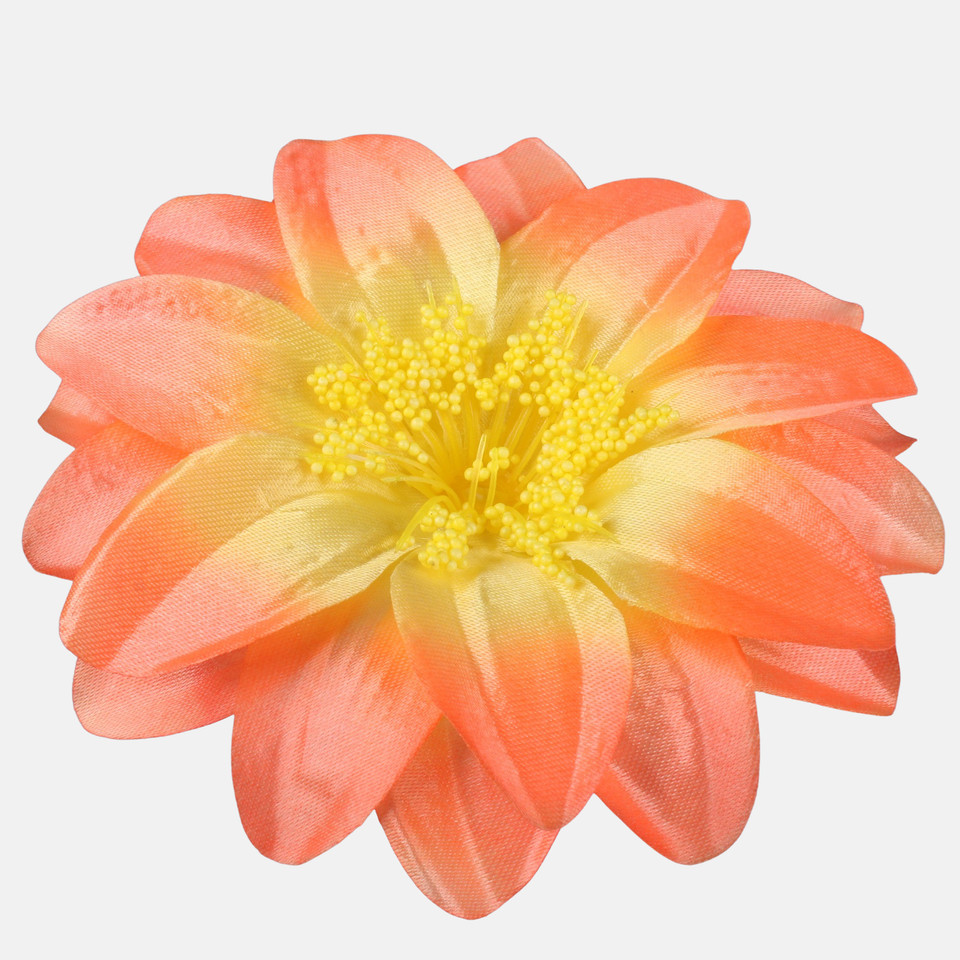 Dalia satynowa, Salmon W624-13