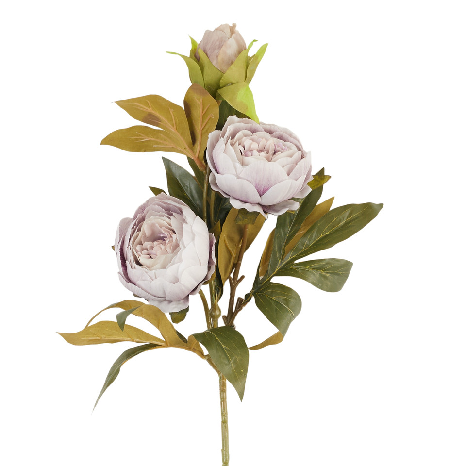 Peonia – gałązka x3, 21 B38-21