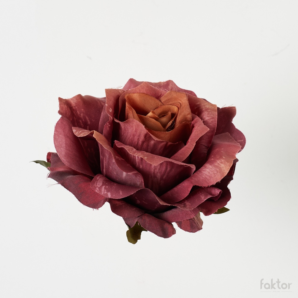 Róża, Mauve B52-040