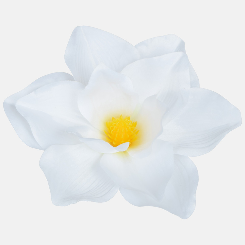 Magnolia, White W707-01