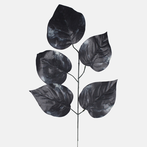 Linden, Black F162-02