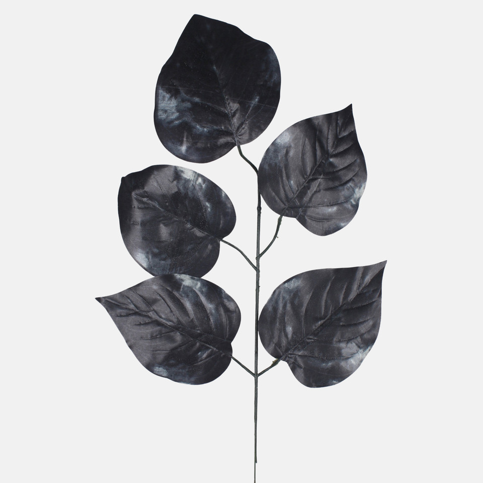 Linden, Black F162-02