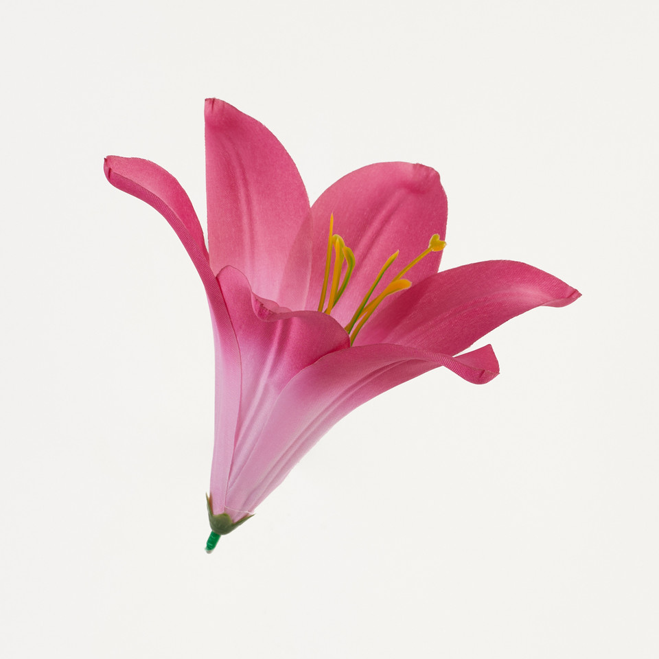 Lilia – główka satyna, fuchsia B276-013