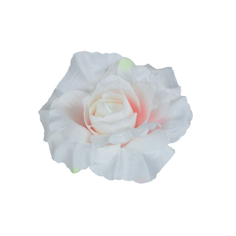 Rose W151